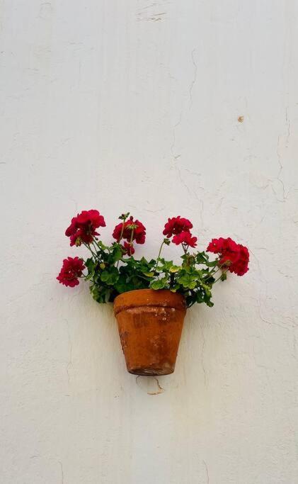 Couples Only, Beautiful 1 Bedroom Apartment In Victoria Building Mojácar Extérieur photo